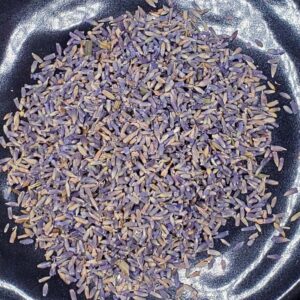 Lavender Flowers (Lavandula Angustifolia)